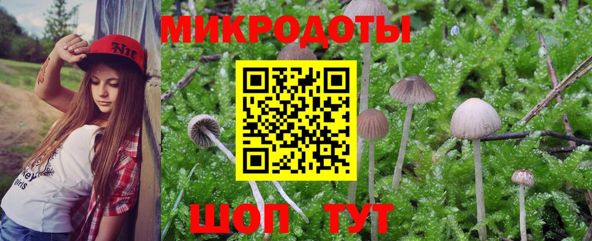 Галлюциногенные грибы Psilocybine cubensis Богородицк